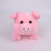 CHANCHO 25 CM
