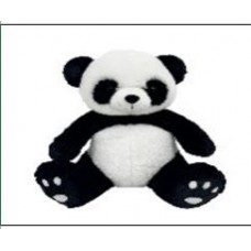 PANDA 25'