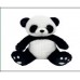 PANDA 25'