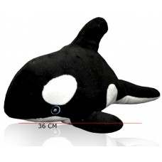 ORCA 36CM