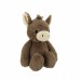 BURRO 9.5'