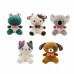 5 ANIMALES 8'