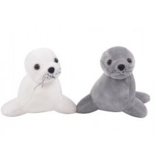 FOCA 19CM