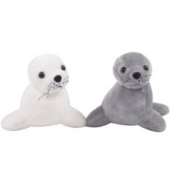 FOCA 19CM